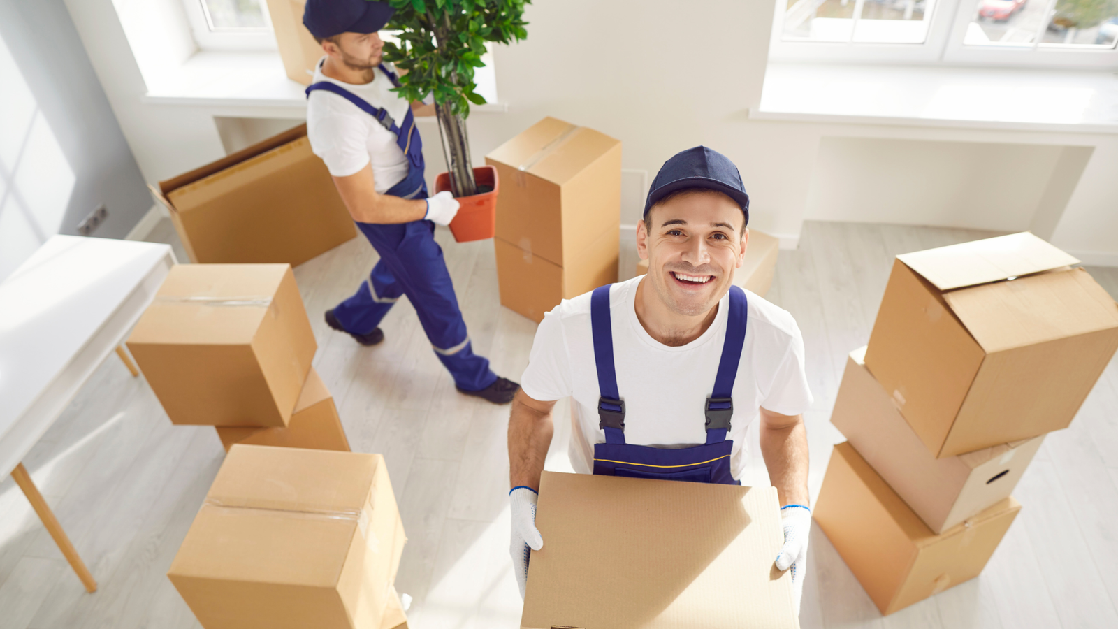 نقل العفش والاثاث